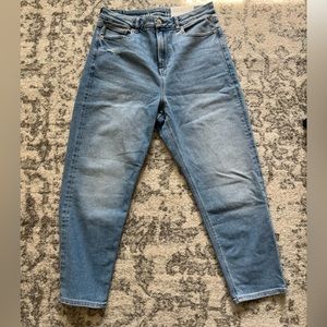 American Eagle Curvy Mom Jean size 10 short